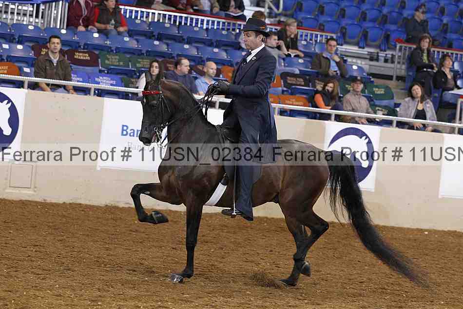 Proof 11usn_02384
