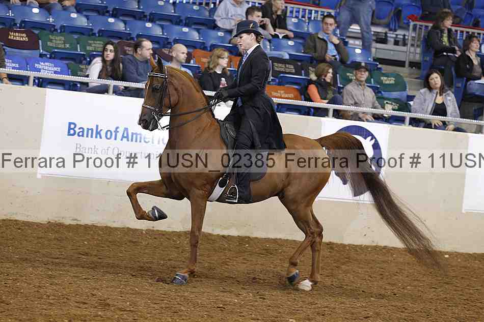 Proof 11usn_02385