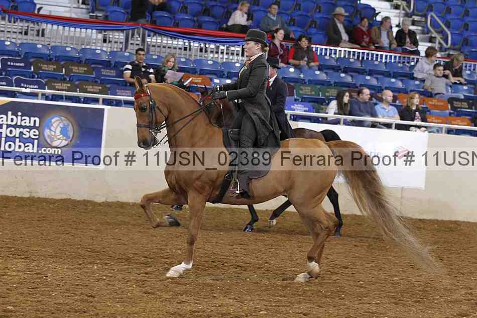 Proof 11usn_02389