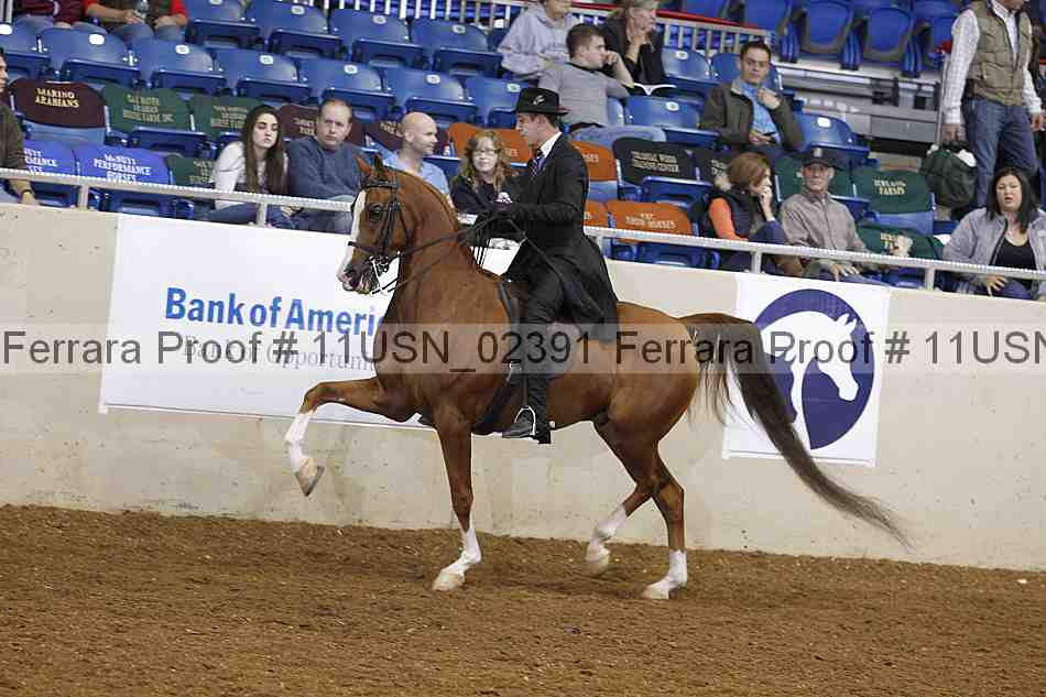 Proof 11usn_02391