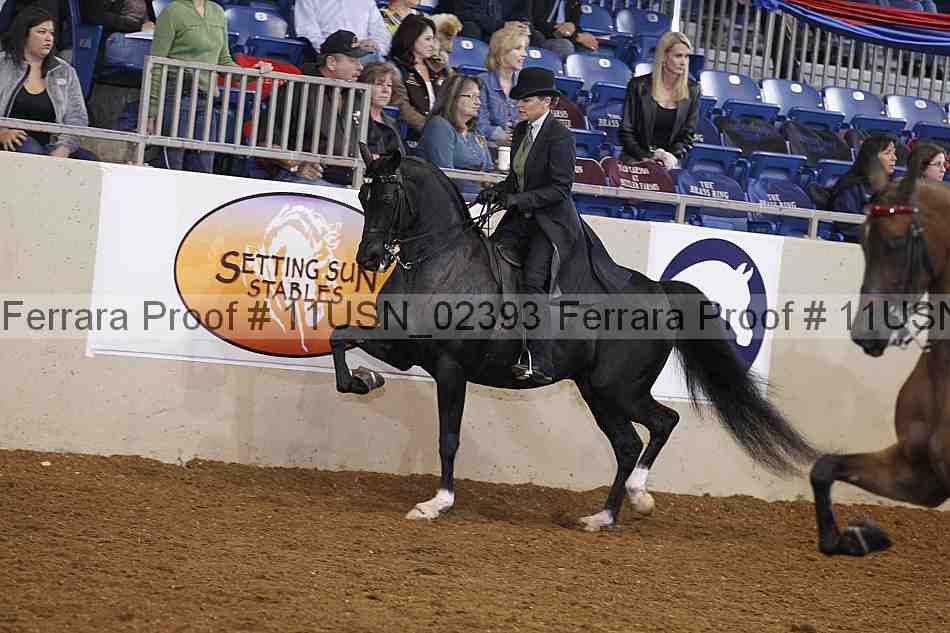 Proof 11usn_02393