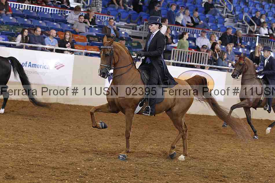 Proof 11usn_02395