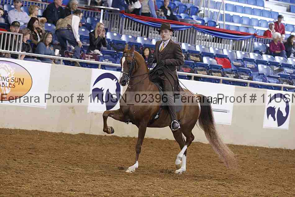 Proof 11usn_02396