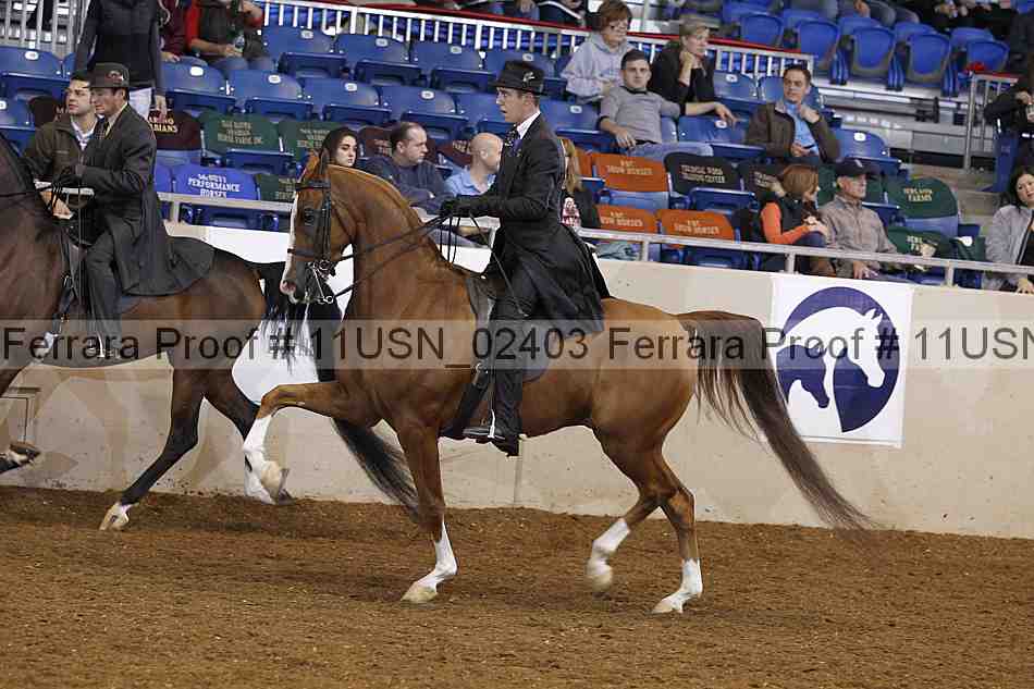 Proof 11usn_02403