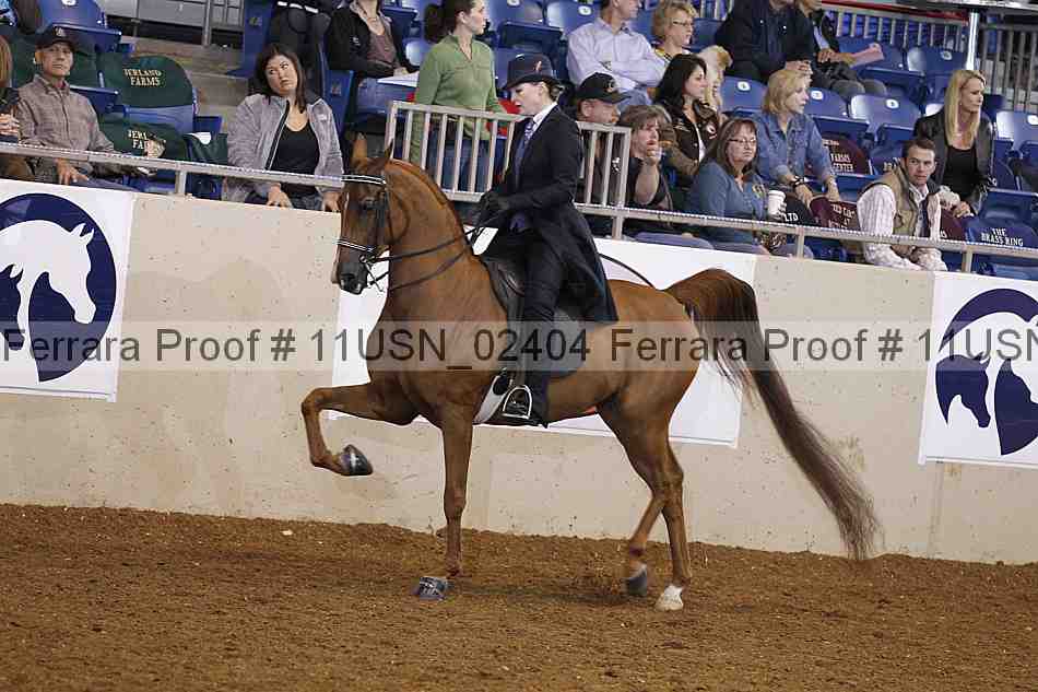 Proof 11usn_02404