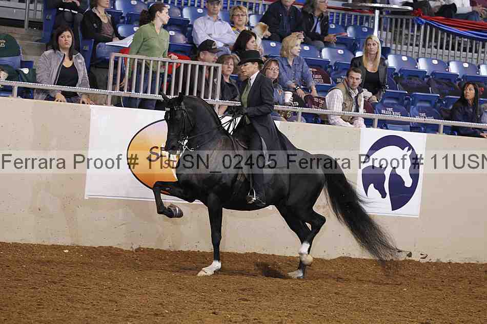 Proof 11usn_02405