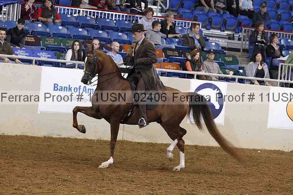 Proof 11usn_02406