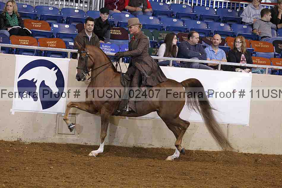 Proof 11usn_02407