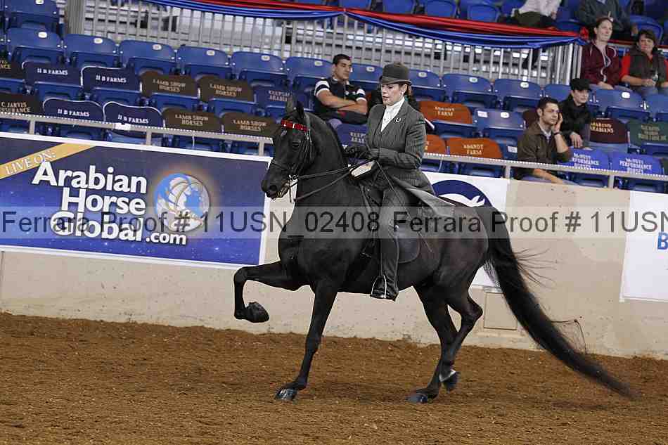 Proof 11usn_02408