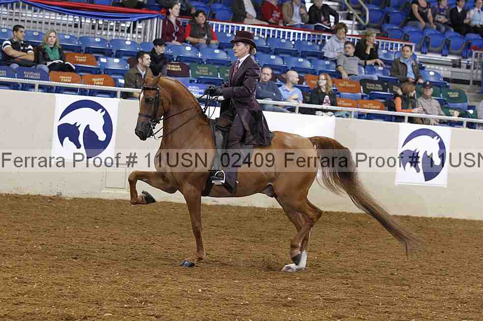 Proof 11usn_02409