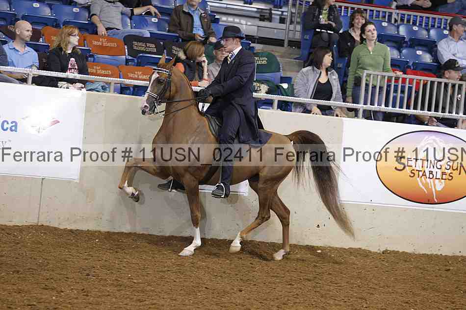 Proof 11usn_02411