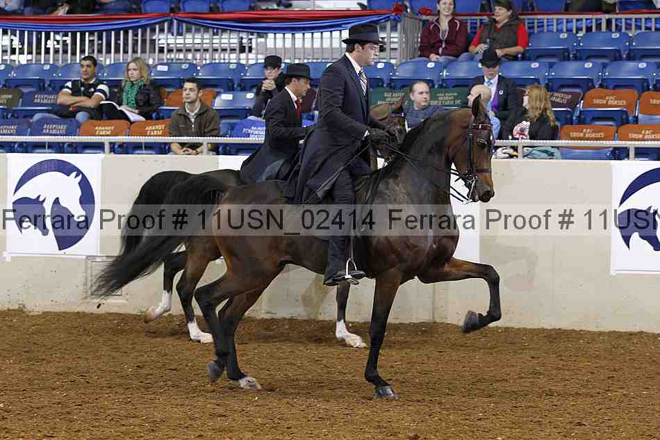 Proof 11usn_02414