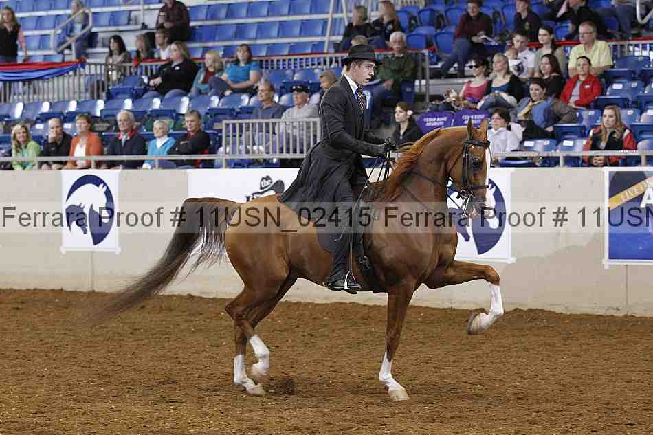 Proof 11usn_02415