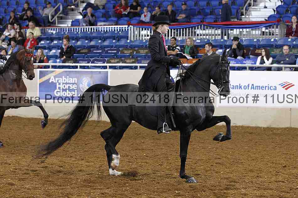 Proof 11usn_02418