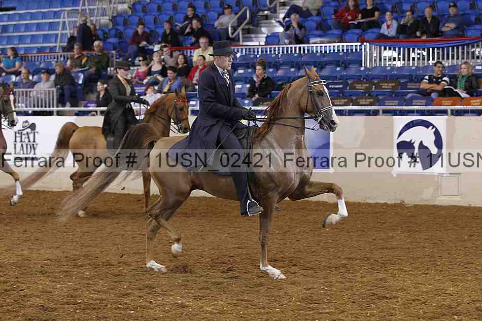 Proof 11usn_02421