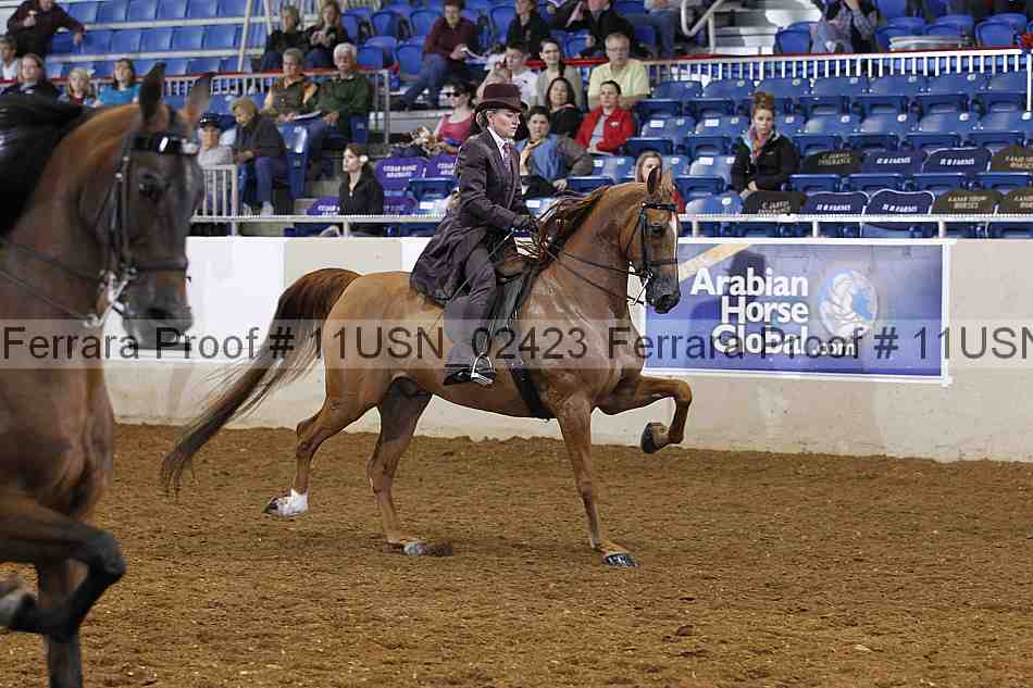 Proof 11usn_02423