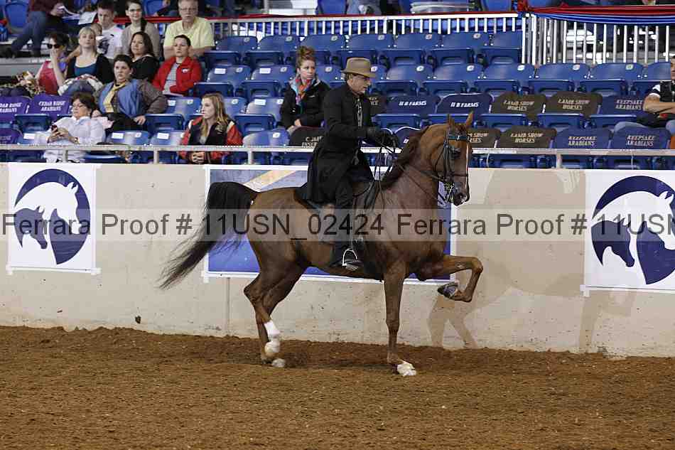 Proof 11usn_02424