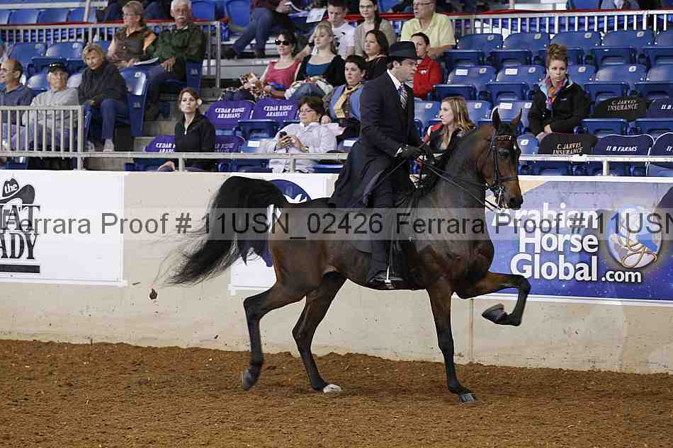 Proof 11usn_02426