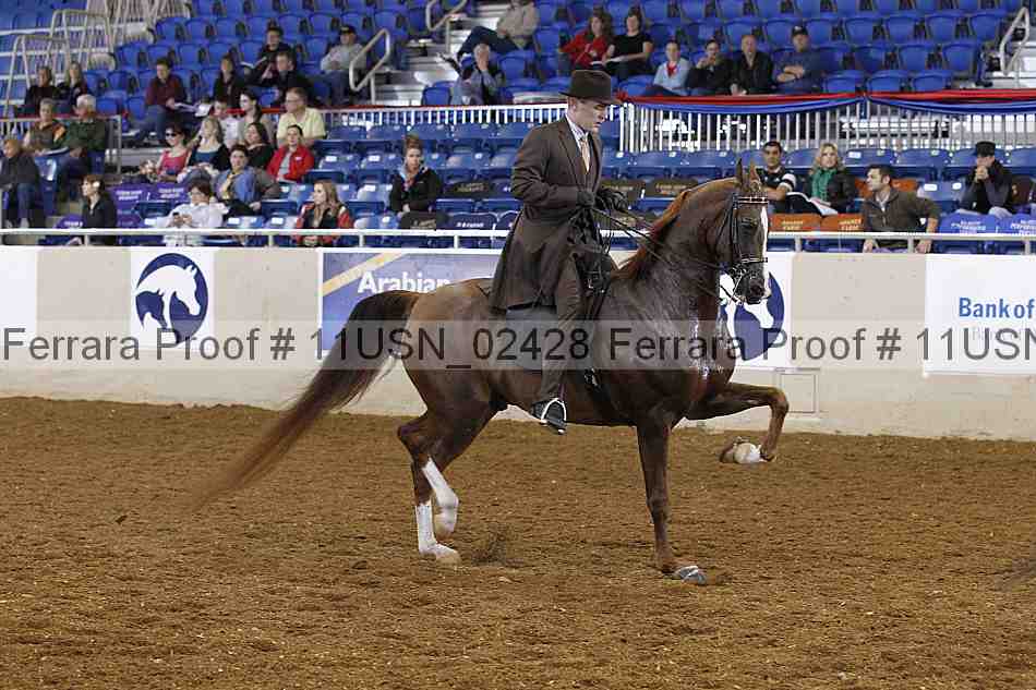 Proof 11usn_02428