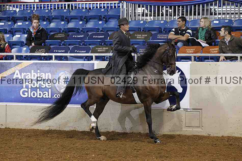 Proof 11usn_02429