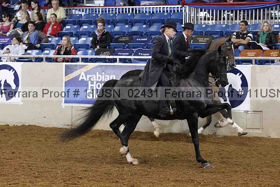 Proof 11usn_02431