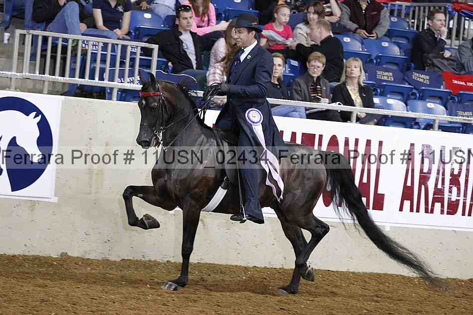 Proof 11usn_02434