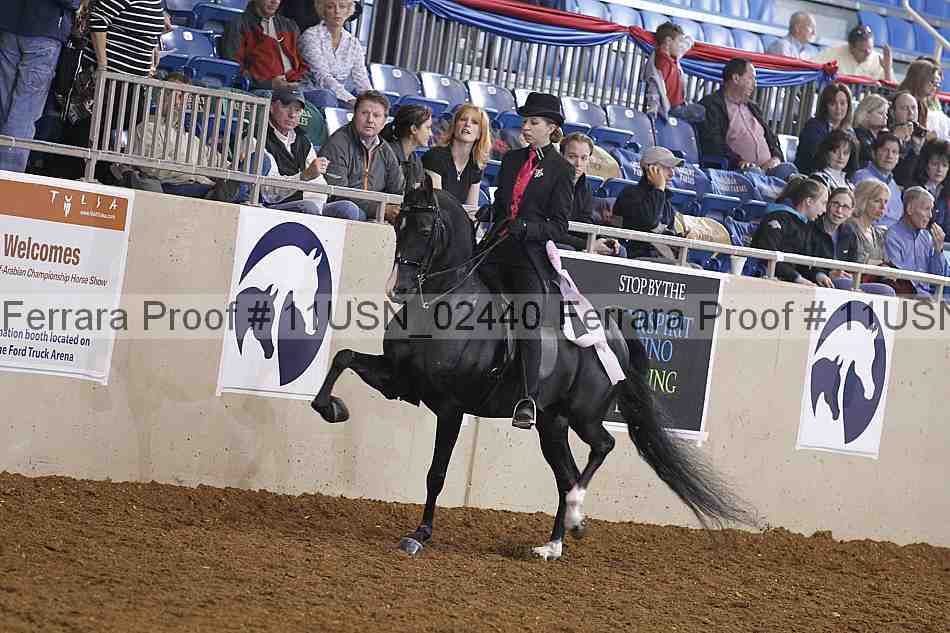 Proof 11usn_02440