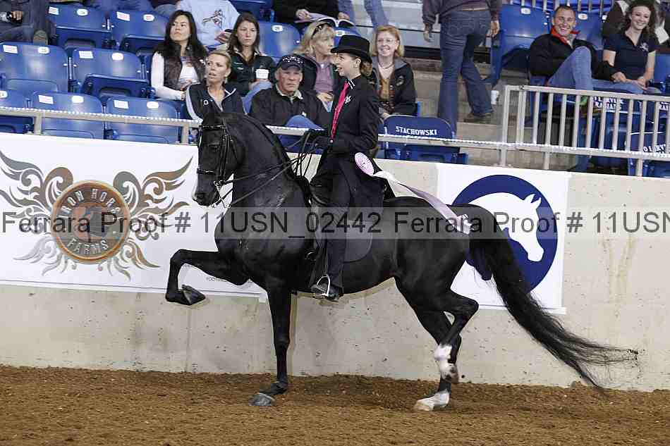 Proof 11usn_02442