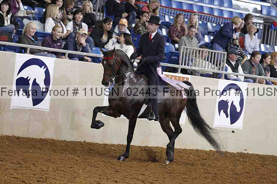 Proof 11usn_02443