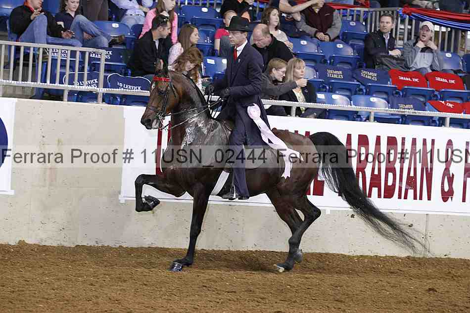 Proof 11usn_02444