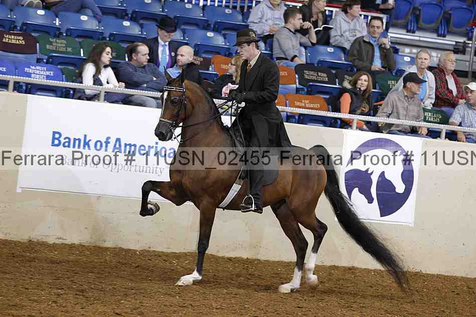 Proof 11usn_02455