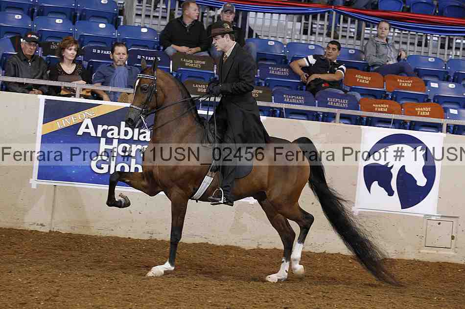 Proof 11usn_02456