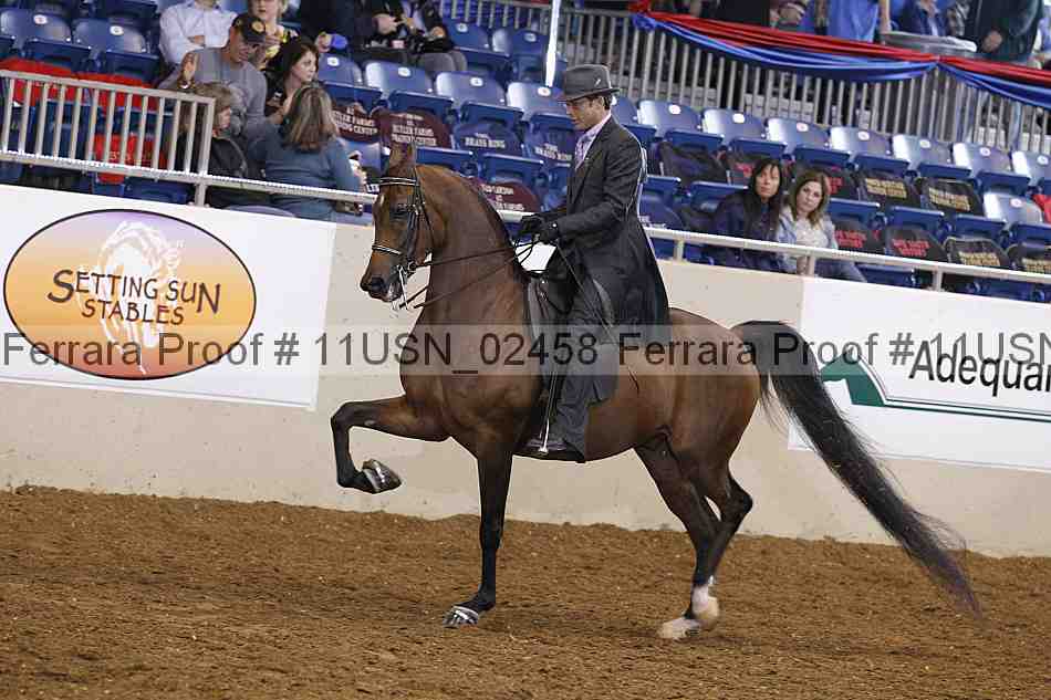 Proof 11usn_02458