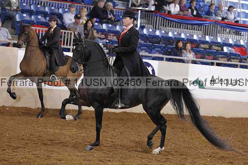 Proof 11usn_02460