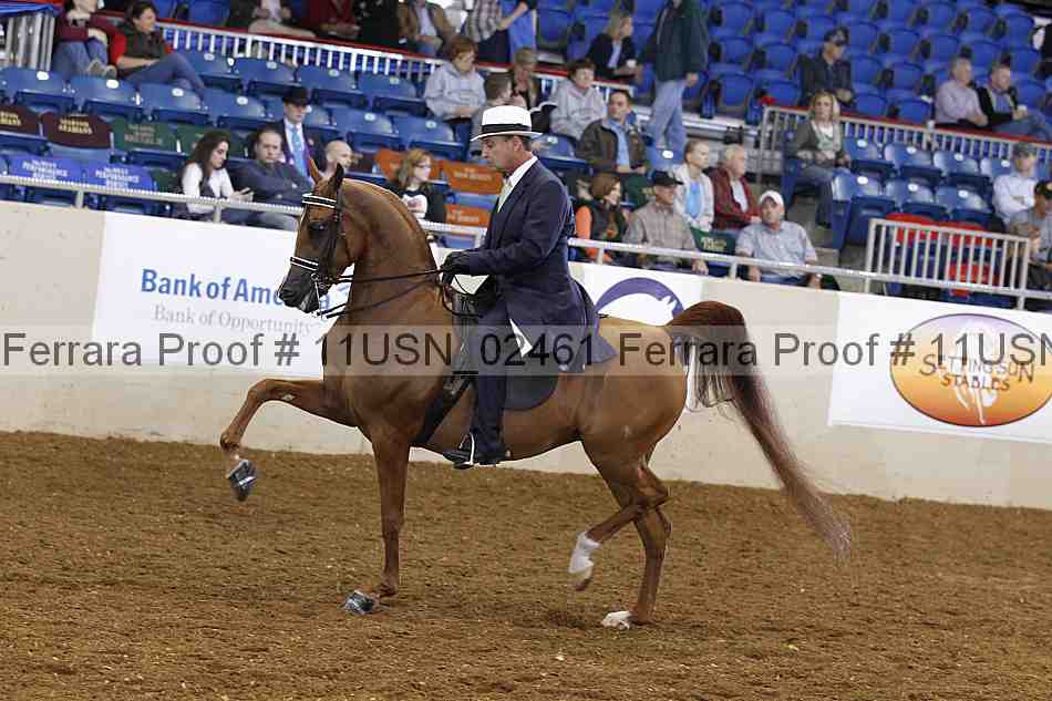 Proof 11usn_02461