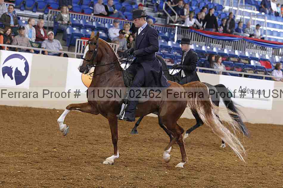 Proof 11usn_02462