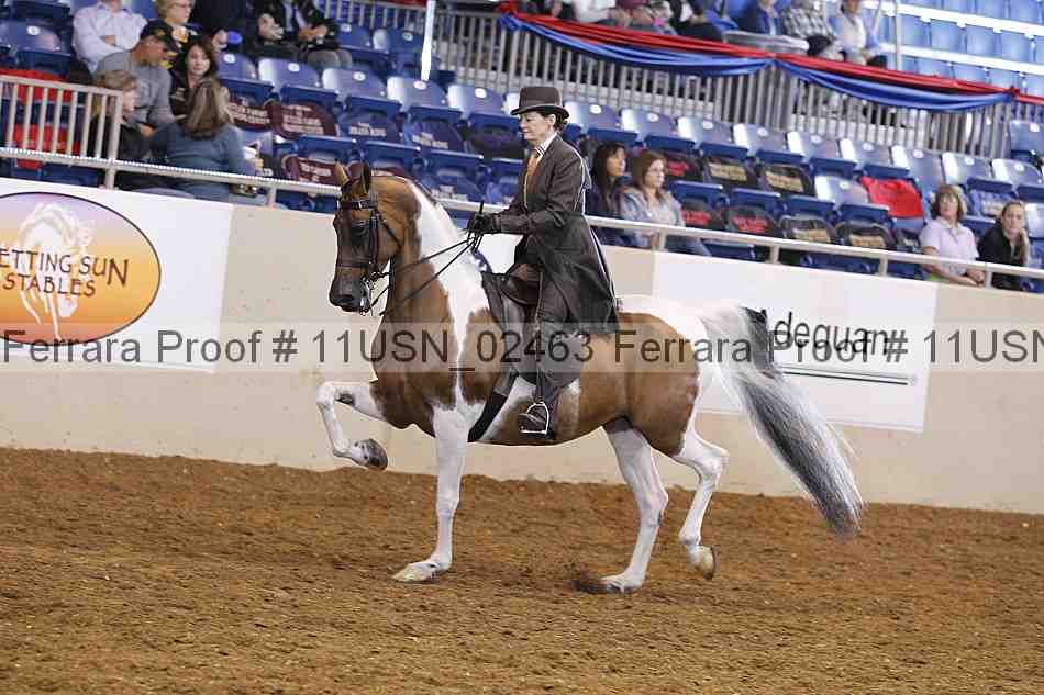Proof 11usn_02463