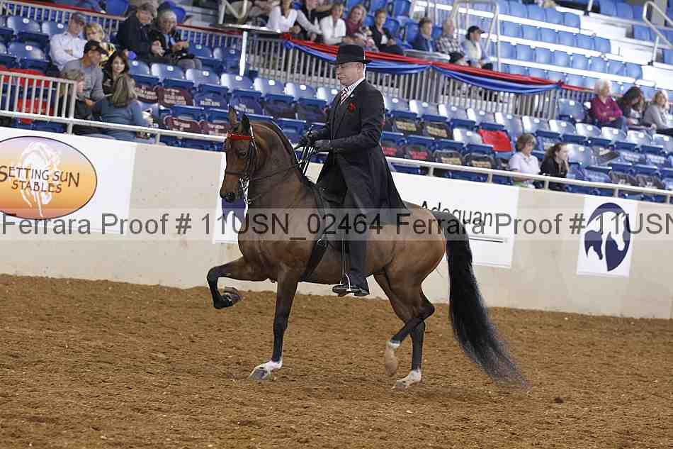 Proof 11usn_02464
