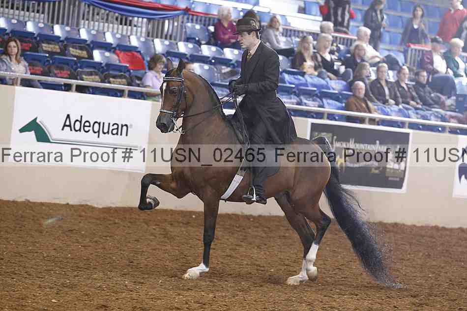Proof 11usn_02465
