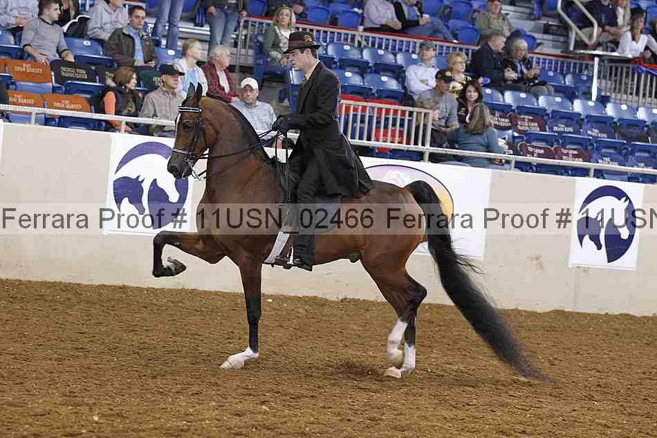 Proof 11usn_02466