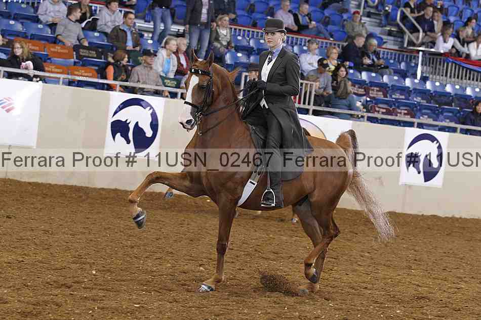 Proof 11usn_02467