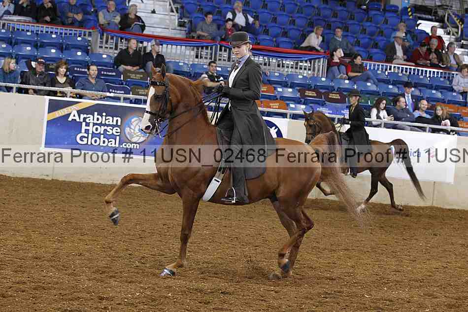 Proof 11usn_02468