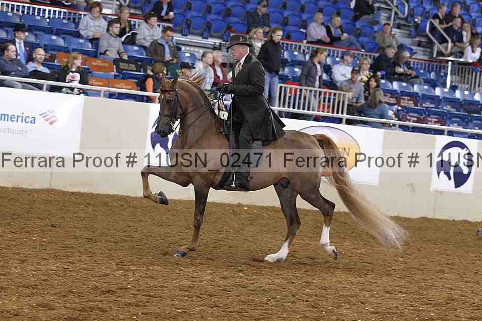 Proof 11usn_02471