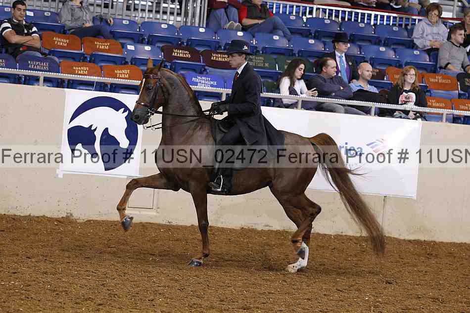 Proof 11usn_02472