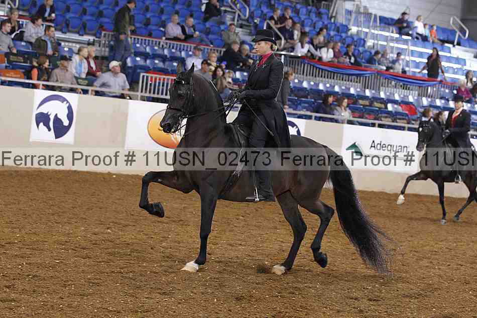 Proof 11usn_02473