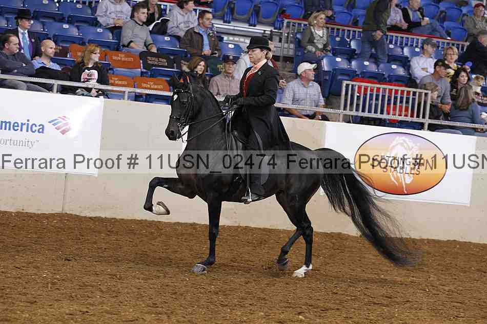 Proof 11usn_02474