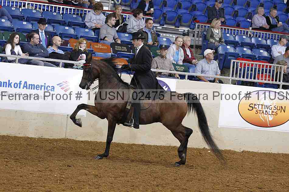 Proof 11usn_02475