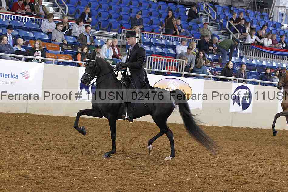 Proof 11usn_02476