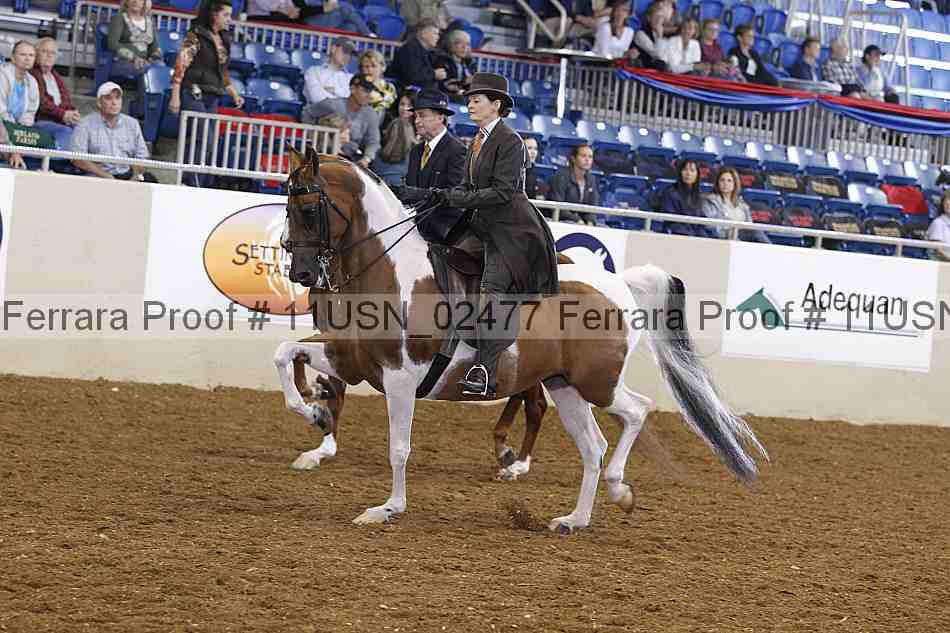 Proof 11usn_02477