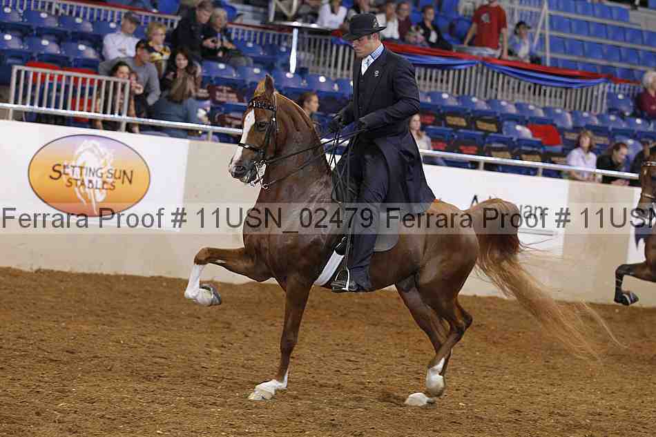 Proof 11usn_02479